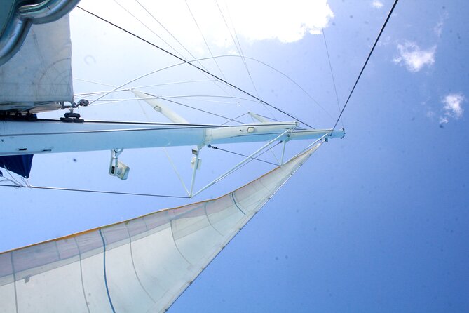 Saona Island by Paradise Travel - Practical Tips That Make This Day Smoother