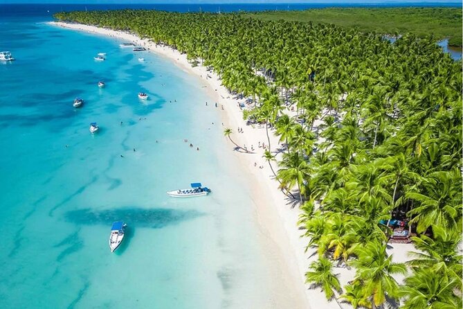 Saona Island Caramaran Adventure from Punta Cana With Lunch - What Can Go Wrong (And How to Reduce Stress)