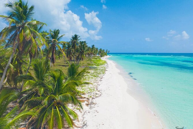Saona Island Caramaran Adventure from Punta Cana With Lunch - Should You Book It?