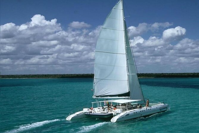 Saona Island Catamaran Adventure with Free Food and Transportation - Key highlights to know before you go