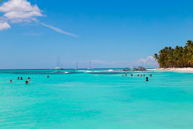 Saona Island Catamaran Adventure with Free Food and Transportation - Isla Saona beach time: white sand, palms, and about 3.5 hours on land