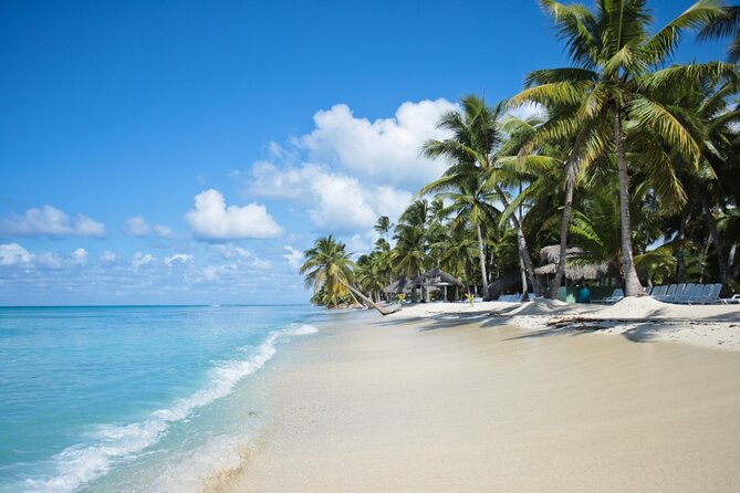 Saona Island Catamaran Cruise Experience (All Inclusive) - Getting to Saona: Punta Cana pickup and round-trip transport