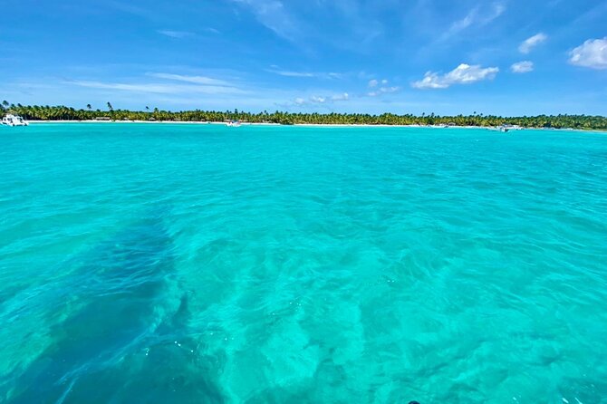 Saona Island Catamaran Cruise Experience (All Inclusive) - Snorkeling and the natural ocean pool: the included water highlight