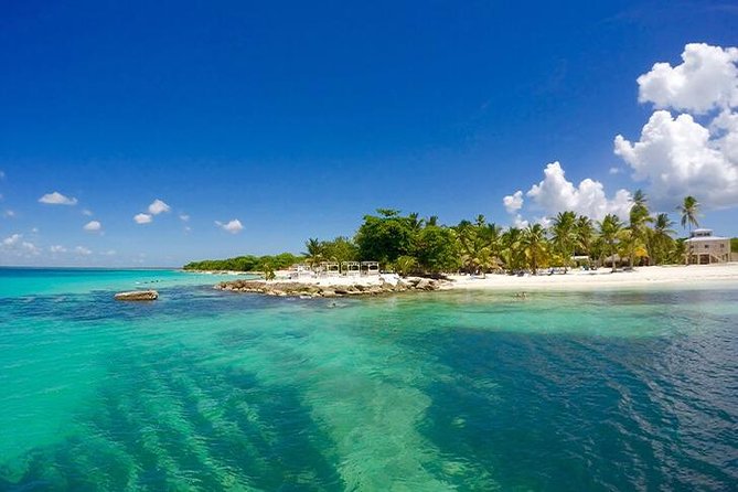 Saona Island Catamaran Cruise Experience (All Inclusive) - The catamaran cruise: music, drinks, and sea time