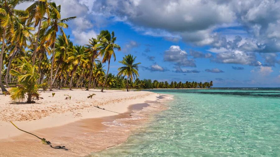 Saona Island: Catamaran Excursion with Lunch and Drinks - Key Highlights That Make This Saona Trip Worth It