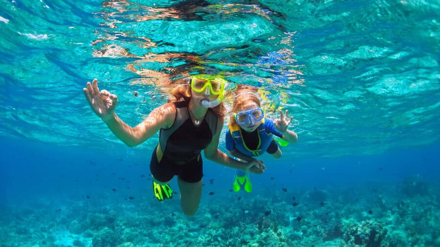 Saona Island: Catamaran Excursion with Lunch and Drinks - Waiting Time Is the Real Variable in This 7-Hour Plan