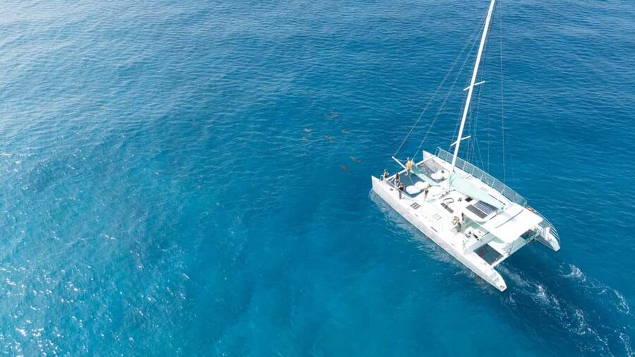 Saona Island: Catamaran Excursion with Lunch and Drinks - Price Breakdown: Is $60 Good Value Here?