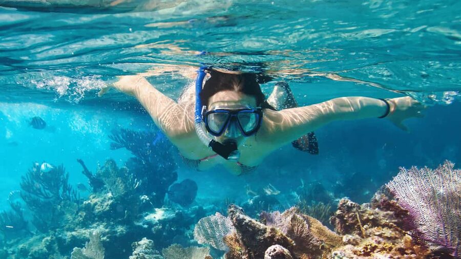 Saona Island: Catamaran Excursion with Lunch and Drinks - Who Should Book This Saona Day Trip