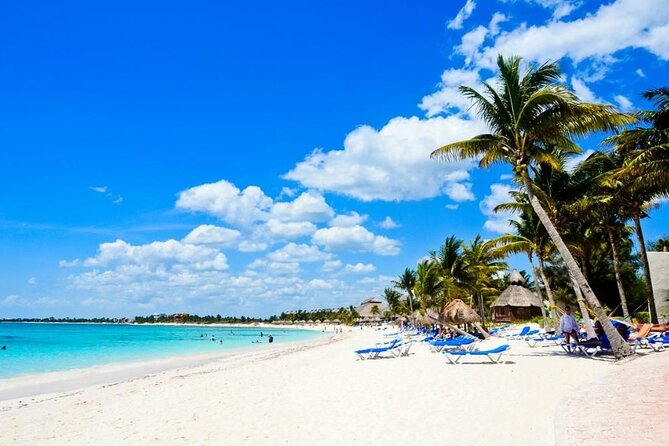 Saona Island Catamaran For Small Group Hotel Pick Food Drink - Key Things I’d Focus On Before You Go