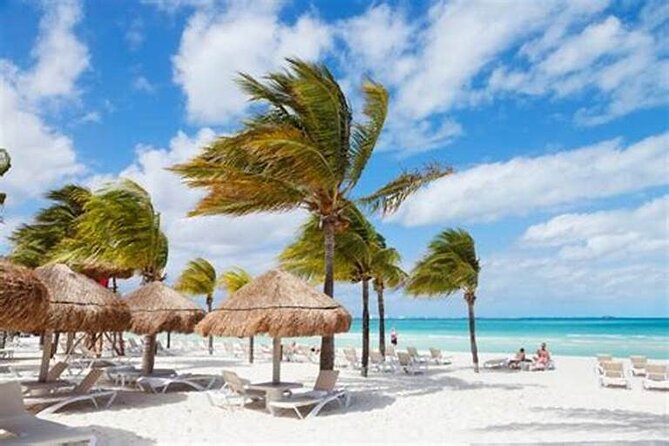 Saona Island Catamaran For Small Group Hotel Pick Food Drink - Saona Island and Cotubanamá National Park: The Real Reason People Book