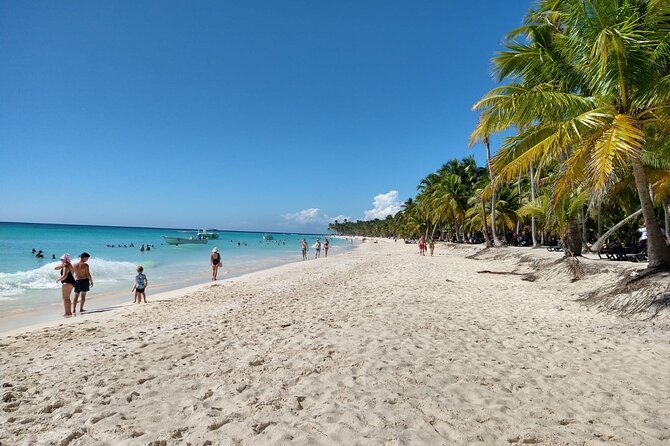 Saona Island Catamaran For Small Group Hotel Pick Food Drink - Catamaran Cruising to Saona: The Part You’ll Remember