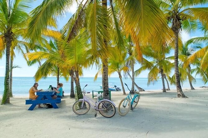 Saona Island Catamaran For Small Group Hotel Pick Food Drink - Swimming, Snorkeling, and the Natural Pool With Starfish