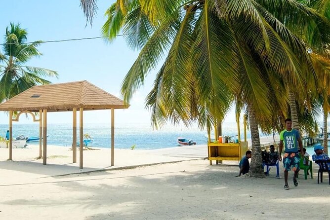 Saona Island Catamaran For Small Group Hotel Pick Food Drink - Weather, Timing, and Why the Day Might Change