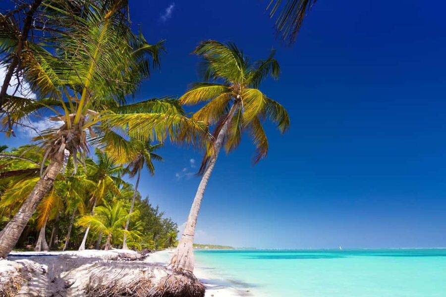 Saona Island: Catamaran/Speedboat Tour to a Dream Beach - Should You Book Saona Sail & Speed?