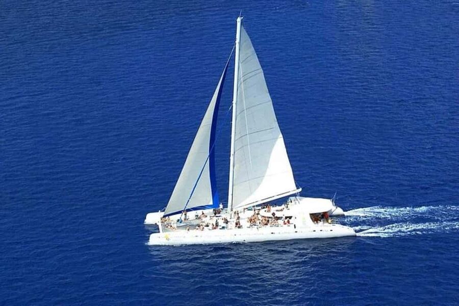 Saona Island: Catamaran/Speedboat Tour to a Dream Beach - Saona Island Beach Time: White Sand, Coconut Palms, and Real Breaks