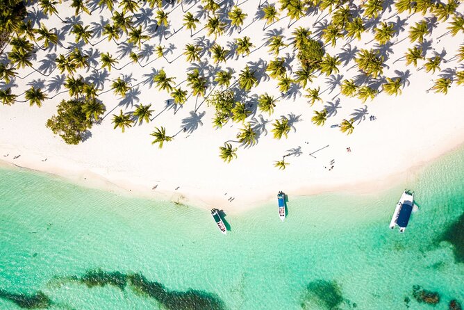 Saona Island Cruise & Private Beach - What I think matters most on this 8-hour day