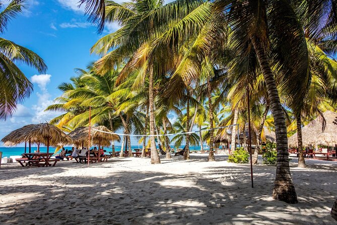 Saona Island Cruise & Private Beach - From Bayahibe to Cotubanama National Park: your day starts moving