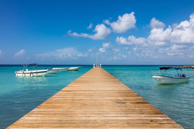 Saona Island Cruise & Private Beach - What the lunch and drinks include really means for your day