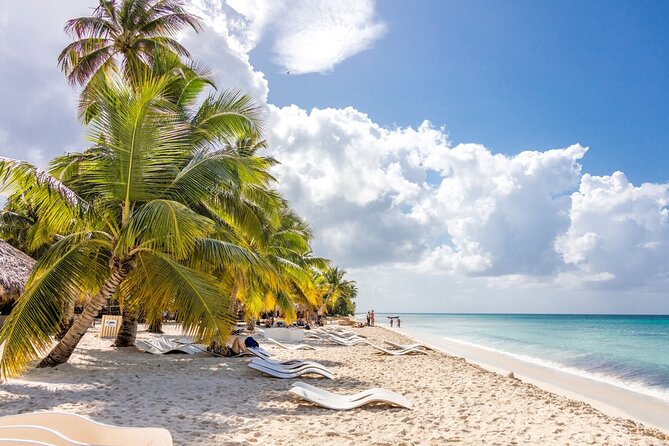 Saona Island Cruise & Private Beach - Price and value: is $133 a smart deal?