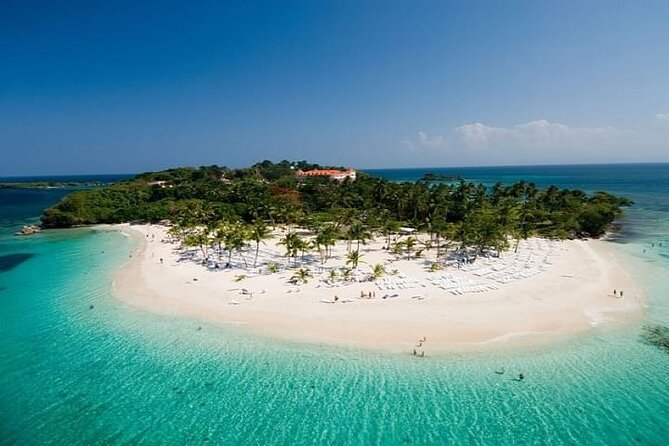 Saona Island Cruise & Private Beach - The snorkel/sandbank stop: shallow water and real fish time