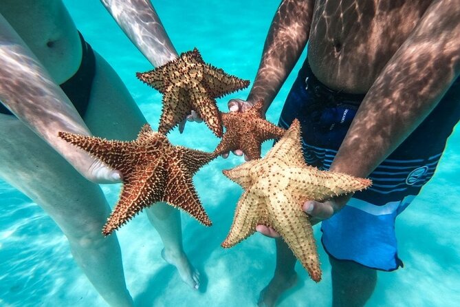 Saona Island Day Tour - Key things to know before you go