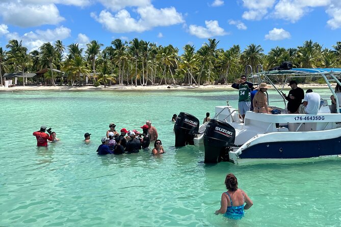 Saona Island Day Tour - Price and value: why $80 can work, and when it won’t