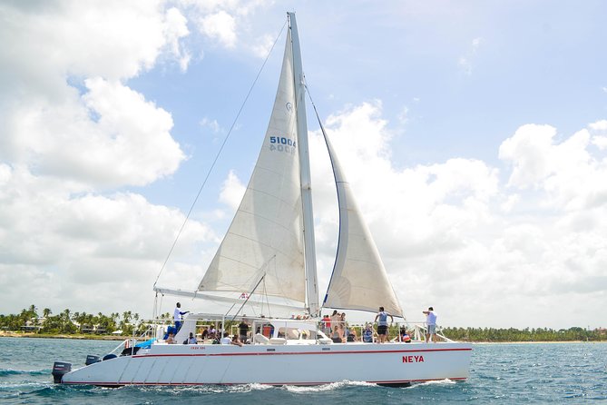 Saona Island Day Trip - Quick highlights before you go