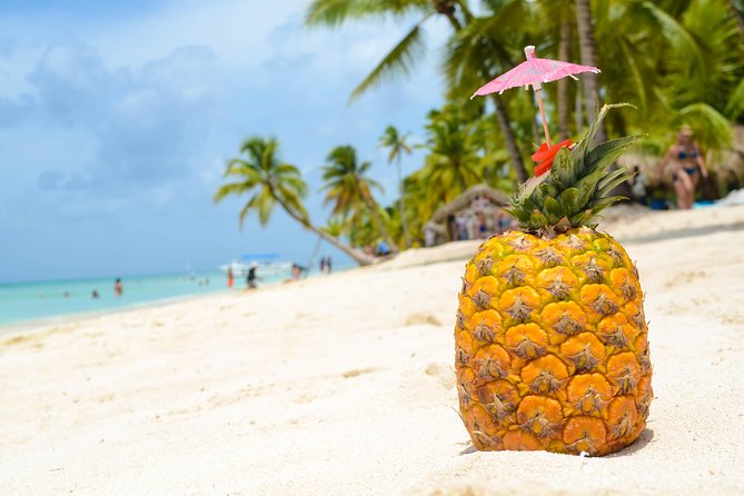 Saona Island Day Trip - Isla Saona time: beaches plus a dose of island character
