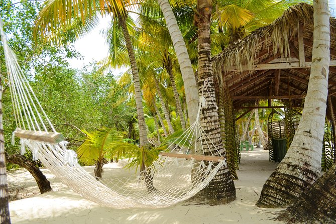 Saona Island Day Trip - Buffet lunch, drinks, and the plastic question