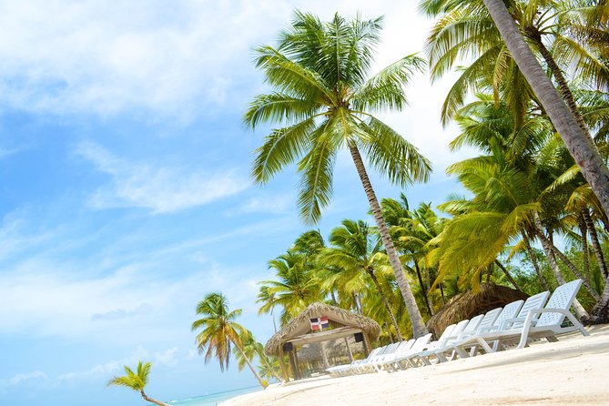 Saona Island Day Trip - Price and value: is $85 fair for an 8-hour Saona day?