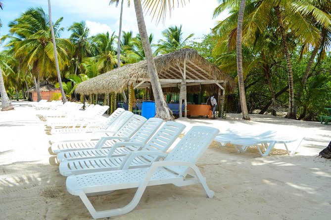 Saona Island Day Trip - What to bring and how to pace yourself