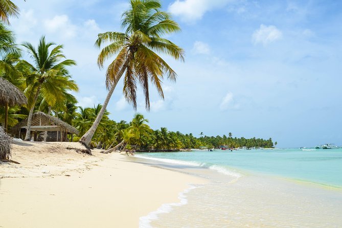 Saona Island Day Trip - Who this Saona day trip suits best
