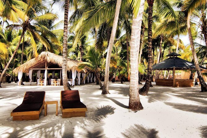 Saona Island Day Trip and Cruise from Punta Cana - The High-Speed Boat to a Natural Pool in the Atlantic
