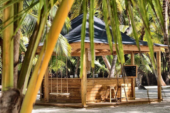 Saona Island Day Trip and Cruise from Punta Cana - Saona Island Time: What You Do When You’re Actually on the Island