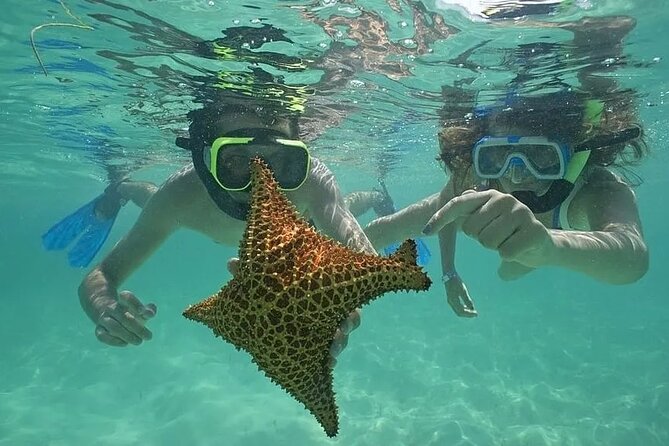 Saona Island Day Trip From Punta Cana with Lunch and Open Bar - Key things to know before you go