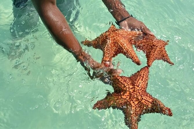 Saona Island Day Trip From Punta Cana with Lunch and Open Bar - Bayahíbe port stop: a quick staging moment