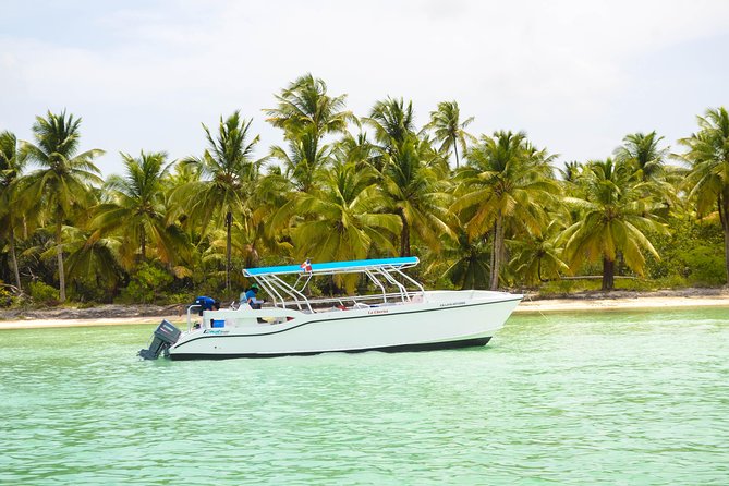 Saona Island Day Trip + Lobsters Included - Saona Island Day Trip From Punta Cana: What This Day Feels Like