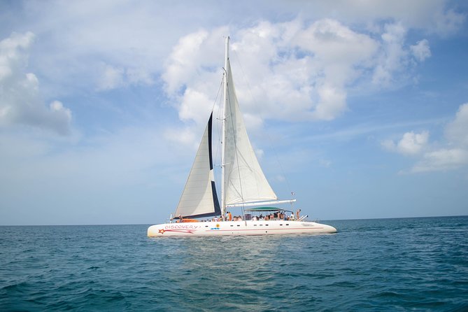 Saona Island Day Trip + Lobsters Included - The Lobster Lunch and Open Bar: The Part You’re Really Paying For