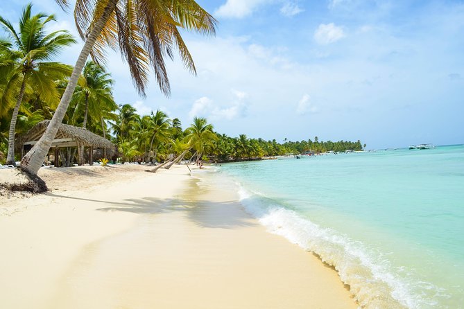 Saona Island Day Trip + Lobsters Included - Private Tour Feel: Why “Personal Attention” Can Actually Matter