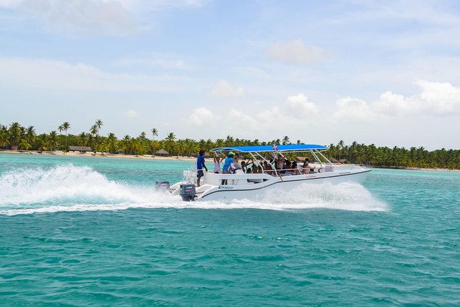 Saona Island Day Trip + Lobsters Included - Who This Tour Is Best For (And Who Should Think Twice)
