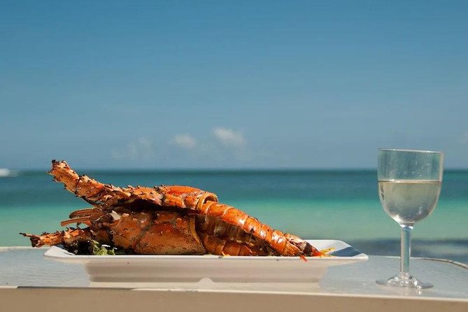 Saona Island Day Trip + Lobsters & Wine Included - Key highlights worth knowing