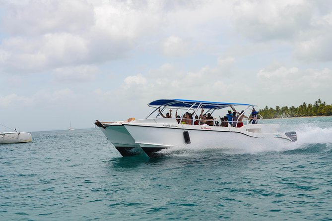 Saona Island Day Trip + Lobsters & Wine Included - Playa Palmilla’s Natural Pool: the shallow-water side quest