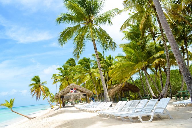 Saona Island Day Trip + Lobsters & Wine Included - The schedule reality: why this feels like a full-day commitment