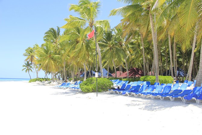 Saona Island Excursion From Punta Cana - Saona Island: About 3 Hours of Beach Time (With Lunch Included)