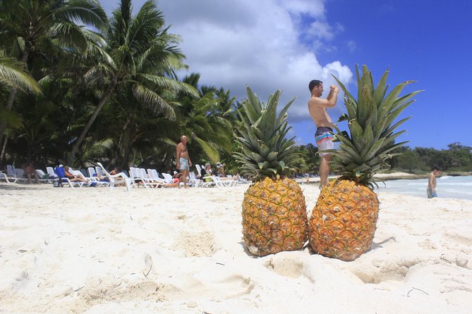 Saona Island Excursion From Punta Cana - The Natural Pool / Sandbar Stop: When the Photo Moments Happen