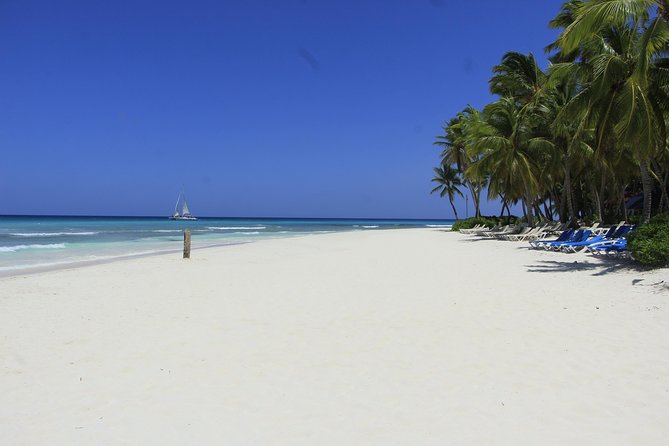 Saona Island Excursion From Punta Cana - Lunch and Drinks: What’s Included, What to Watch For
