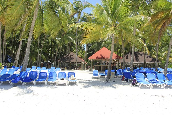 Saona Island Excursion From Punta Cana - Transportation Time and Transfer Snags (The Stuff That Changes Your Mood)