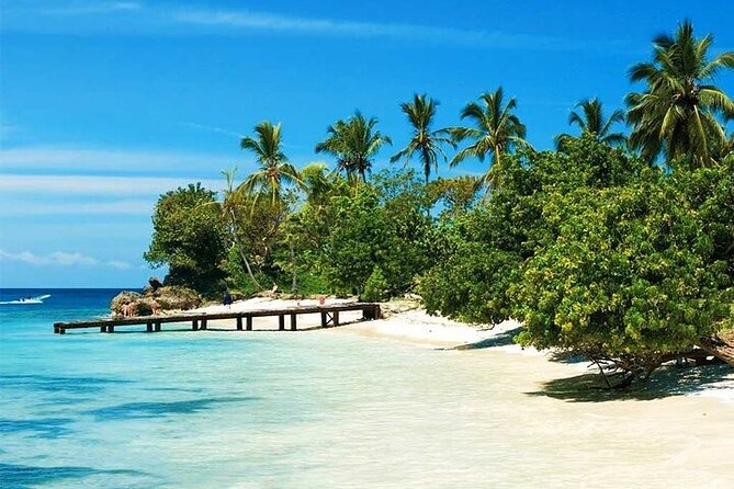 Saona Island from Punta Cana with Transportation and Lunch Included - Natural Pool swim stop: starfish, clear water, and the best kind of pause