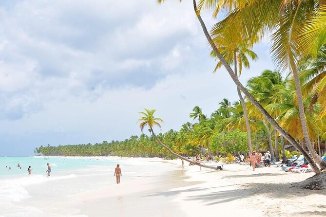 Saona Island from Punta Cana with Transportation and Lunch Included - The speedboat ride: quick scenery, quick wind, quick photos