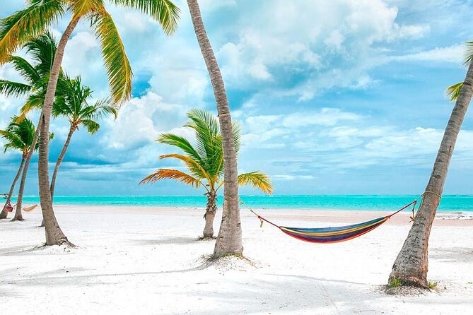 Saona Island Full Day Adventure From Punta Cana & Bavaro - Parasailing in Punta Cana Waters: High Views, Brief Thrills